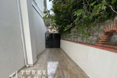 9+1 Villa in Istanbul, Türkei Nr. 233395 - 15
