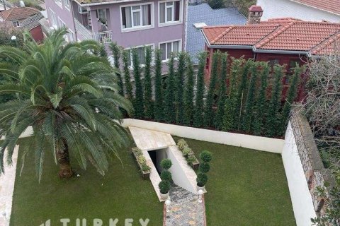 9+1 Villa in Istanbul, Türkei Nr. 233395 - 14