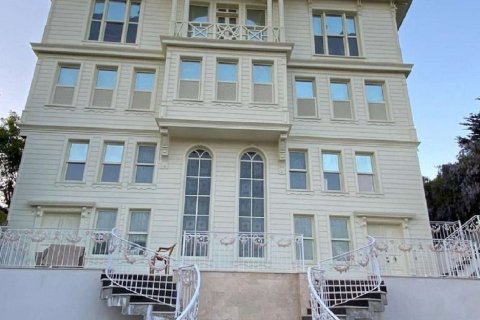 9+1 Villa in Istanbul, Türkei Nr. 233395 - 2