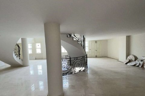 9+1 Villa in Istanbul, Türkei Nr. 233395 - 4