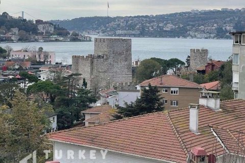 9+1 Villa in Istanbul, Türkei Nr. 233395 - 17