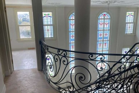 9+1 Villa in Istanbul, Türkei Nr. 233395 - 6