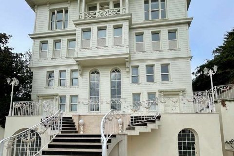 9+1 Villa  in Istanbul, Türkei Nr. 233395