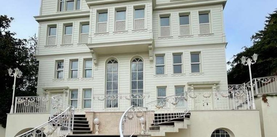 9+1 Villa in Istanbul, Türkei Nr. 233395