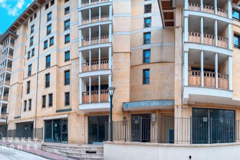 2+1 Leilighet i Istanbul, Tyrkia Nr. 233400 - 3