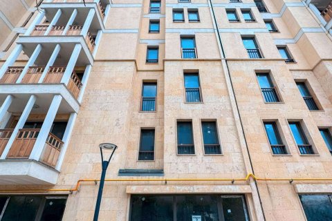 2+1 Leilighet i Istanbul, Tyrkia Nr. 233400 - 4