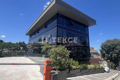 Commercial property for sale in Istanbul, Turkey, 8 bedrooms, 2318m2, No. 212393 – photo 13
