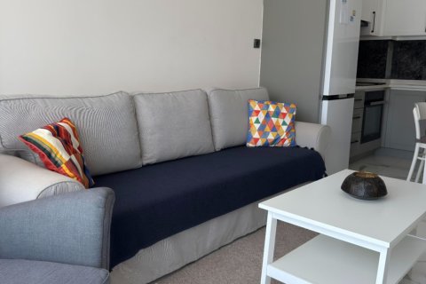 1+0 Wohnung in Kargicak, Alanya, Antalya, Türkei Nr. 224973 - 5