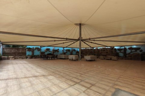 Lägenhet  i Cikcilli, Antalya, Turkiet Nr. 221237 - 15