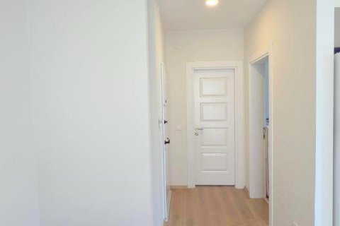 1+0 Wohnung  in Mahmutlar, Antalya, Türkei Nr. 237582 - 8