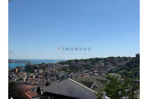 4+1 Villa  i Besiktas, Istanbul, Tyrkia Nr. 227018 - 4