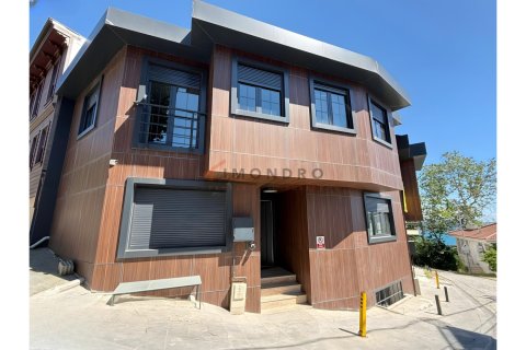 4+1 Villa  i Besiktas, Istanbul, Tyrkia Nr. 227018 - 5