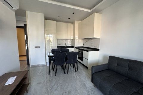 آپارتمان در  Antalya ، ترکیه 1 خوابه ، 53 متر مربع.  شماره 222552 - 15