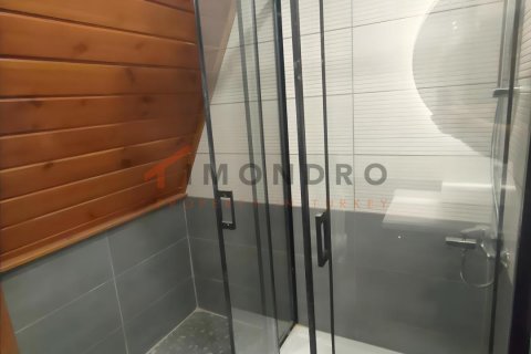 3+1 Villa i Silivri, Istanbul, Tyrkiet Nr. 237993 - 16