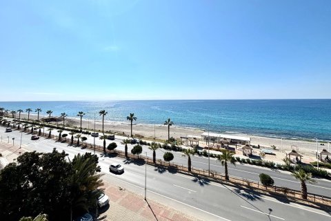 Аренда квартиры  в Аланье, Анталье, Турция 2+1, 135м2, №216627 – фото 6