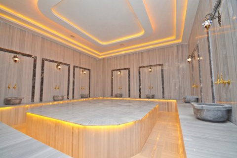 Daire 1+1 Alanya, Antalya, Türkiye №216623 - 22