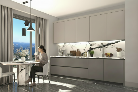 2+1 Leilighet  i Istanbul, Tyrkia Nr. 224734 - 6