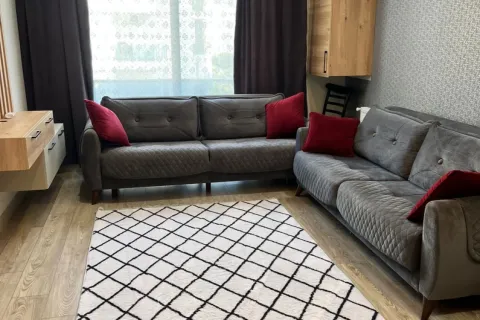 1+1 Wohnung  in Mugla, Türkei Nr. 223517 - 4