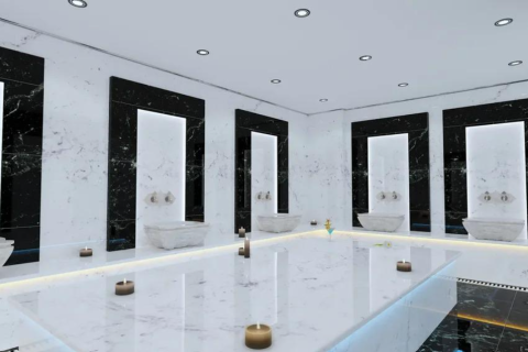 2+1 Lägenhet  i Mahmutlar, Antalya, Turkiet Nr. 222290 - 30