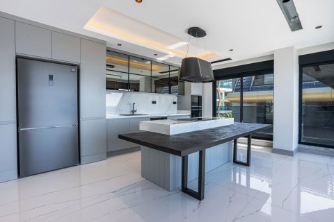 4+1 Lägenhet  i Alanya, Antalya, Turkiet Nr. 218944 - 6