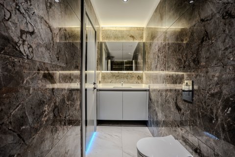 4+1 Lägenhet  i Alanya, Antalya, Turkiet Nr. 218944 - 21