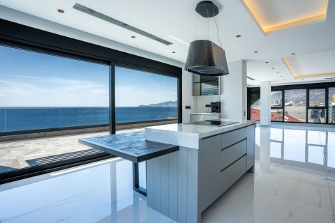 4+1 Lägenhet  i Alanya, Antalya, Turkiet Nr. 218944 - 3