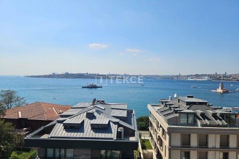 6+1 Penthouse  in Istanbul, Turkey No. 221712