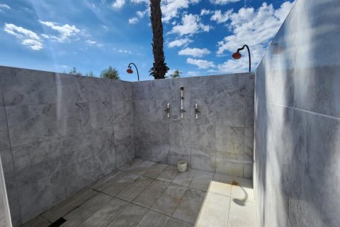 Villa  i Demirtas, Alanya, Antalya, Turkiet Nr. 221709 - 24