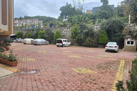 1+1 Wohnung  in Alanya, Antalya, Türkei Nr. 221708 - 11