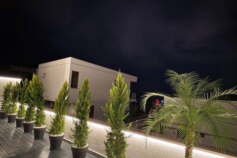 4+2 Villa  i Alanya, Antalya, Tyrkia Nr. 219956 - 14