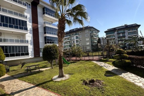 1+1 Wohnung  in Kestel, Antalya, Türkei Nr. 218513 - 2