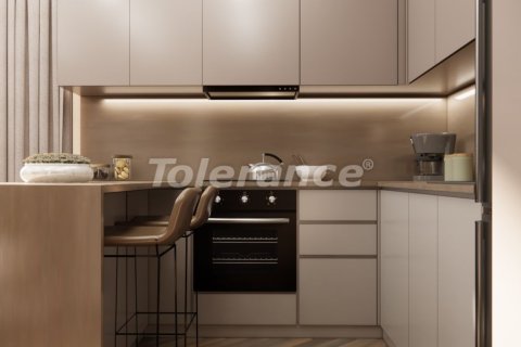 1+1 Leilighet  i Istanbul, Tyrkia Nr. 216354 - 16