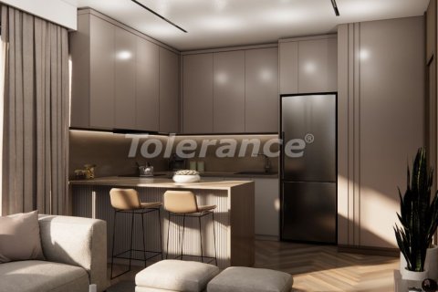 1+1 Leilighet  i Istanbul, Tyrkia Nr. 216354 - 13