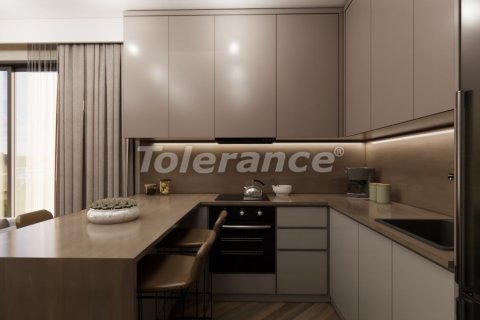 1+1 Leilighet  i Istanbul, Tyrkia Nr. 216354 - 15