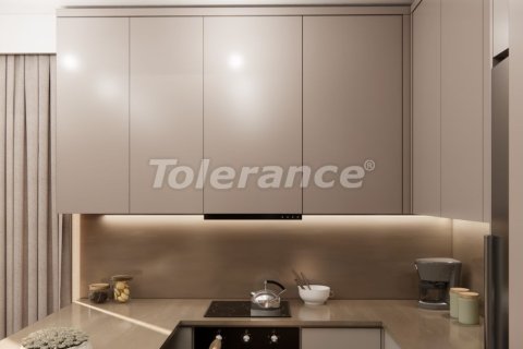 1+1 Leilighet  i Istanbul, Tyrkia Nr. 216354 - 18