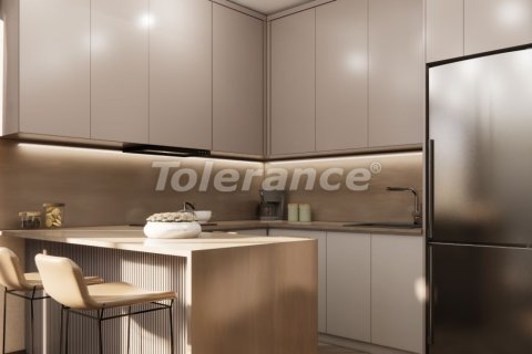 1+1 Leilighet  i Istanbul, Tyrkia Nr. 216354 - 14