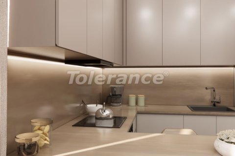 1+1 Leilighet  i Istanbul, Tyrkia Nr. 216354 - 17