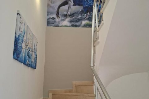 Продажа квартиры в Махмутларе, Анталье, Турция 5 комн., 210м2, №216357 – фото 16