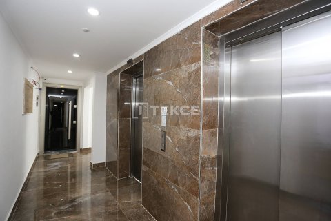 Аренда офиса  в Анталье, Турция, 70м2, №213550 – фото 11