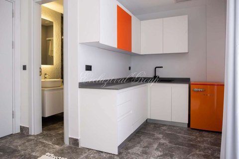 5+1 Villa  i Bodrum, Mugla, Tyrkia Nr. 217083 - 24