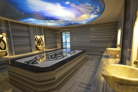 1+1 Lägenhet  i Kestel, Antalya, Turkiet Nr. 232224 - 17