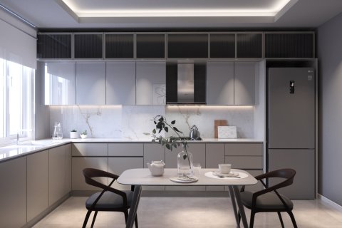 3+1 Lägenhet  i Istanbul, istanbul, Turkiet Nr. 224742 - 9