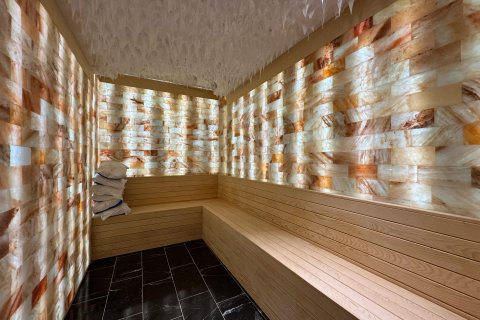 1+1 Lejlighed  i Alanya, Antalya, Tyrkiet Nr. 218950 - 23