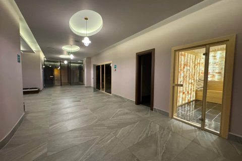 1+1 Lejlighed  i Alanya, Antalya, Tyrkiet Nr. 218950 - 22