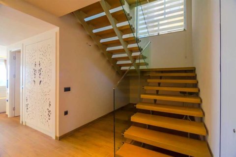 Продажа виллы в Аланье, Анталье, Турция 5+1, 520м2, №233886 – фото 14