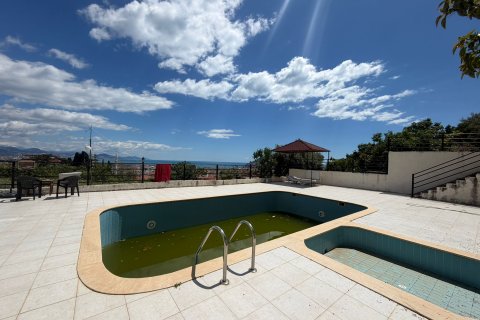 1+1 Wohnung  in Alanya, Antalya, Türkei Nr. 224621 - 10