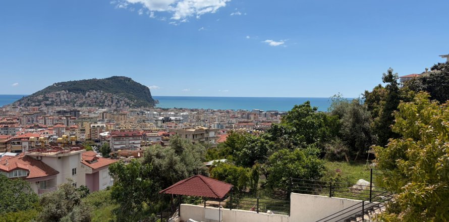 1+1 Wohnung  in Alanya, Antalya, Türkei Nr. 224621