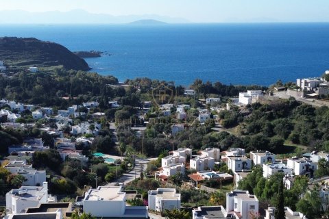 Villa  3+1  Bodrum, Muğla, Türkiye №215404 - 22