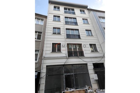 Продажа квартиры  в Фатихе, Стамбуле, Турция 11+1, 540м2, №212611 – фото 1