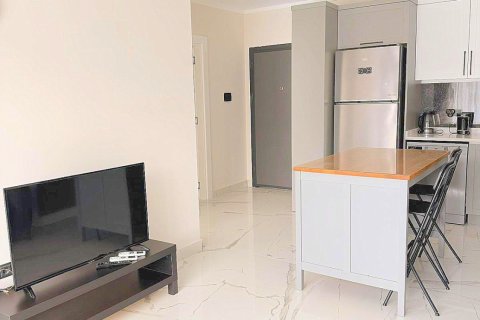 Daire  1+0  Kargıcak, Alanya, Antalya, Türkiye №225786 - 4